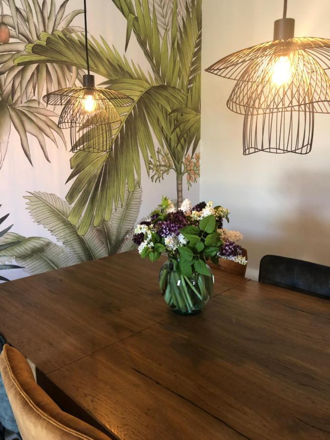 생 폴 드 프누이에 Domaine Mas Terra B&B 외부 사진